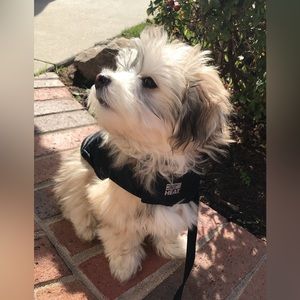 32 Degrees Black Puffer Vest